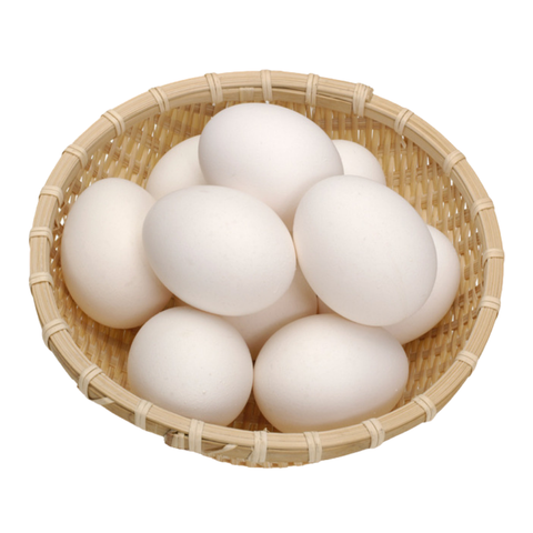 ##  /10 pcs  ##
